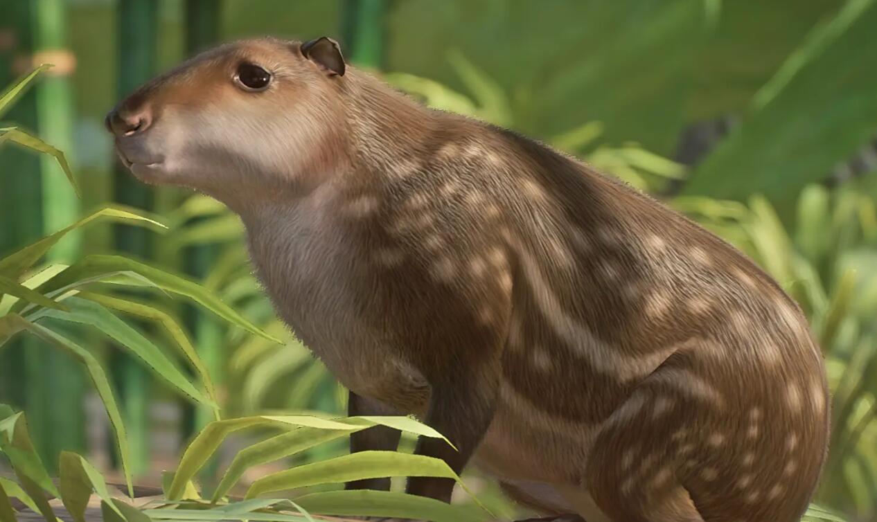 《動物園之星》新增物種刺豚鼠MOD