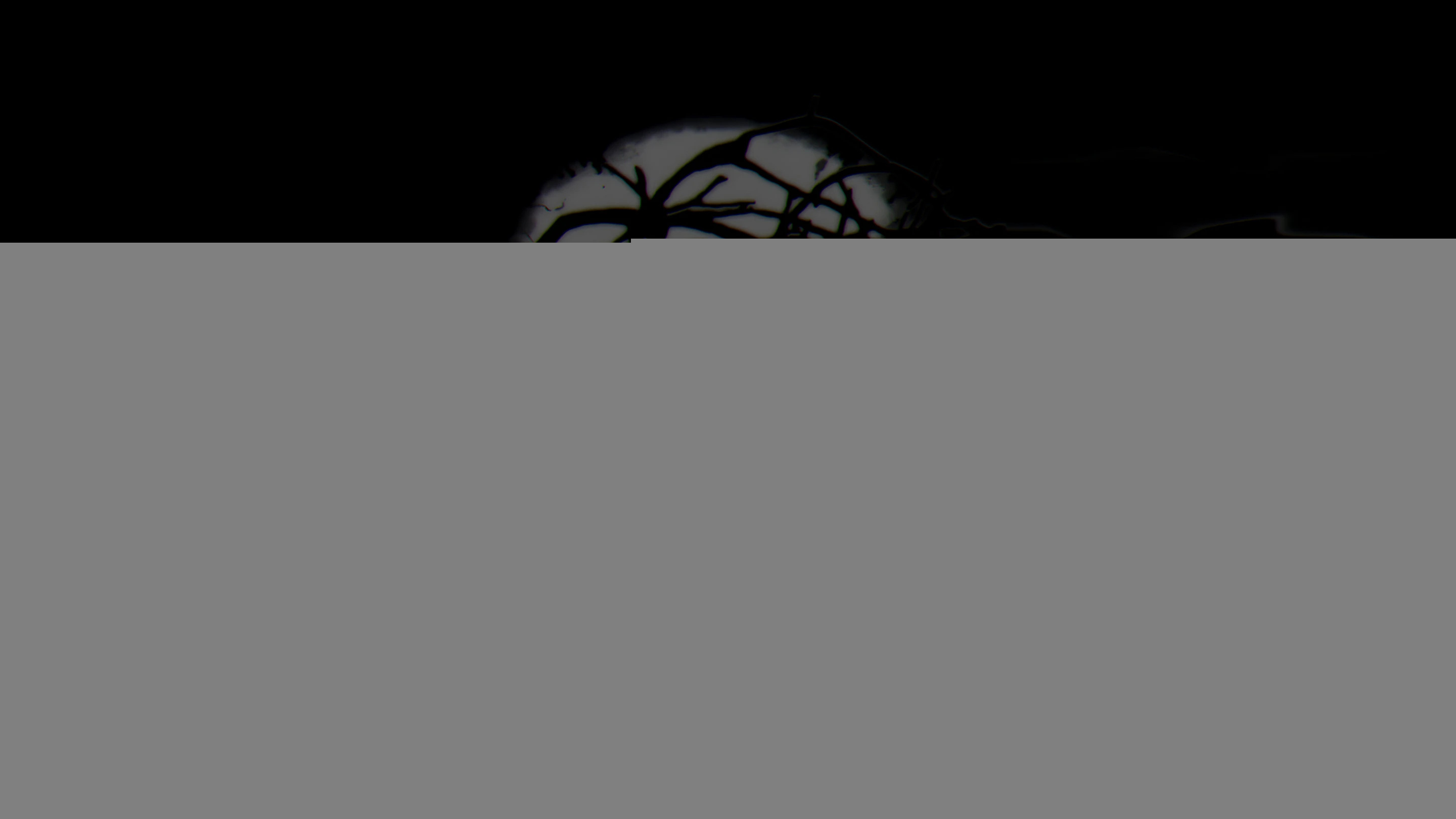 《潛行者2:切爾諾貝利之心》突變能力再平衡MOD