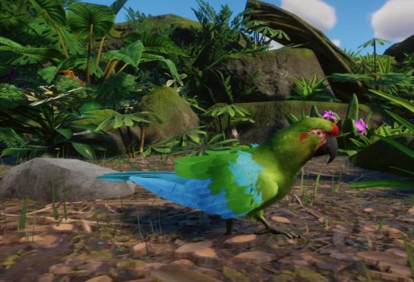 《动物园之星》新增物种红额金刚鹦鹉MOD