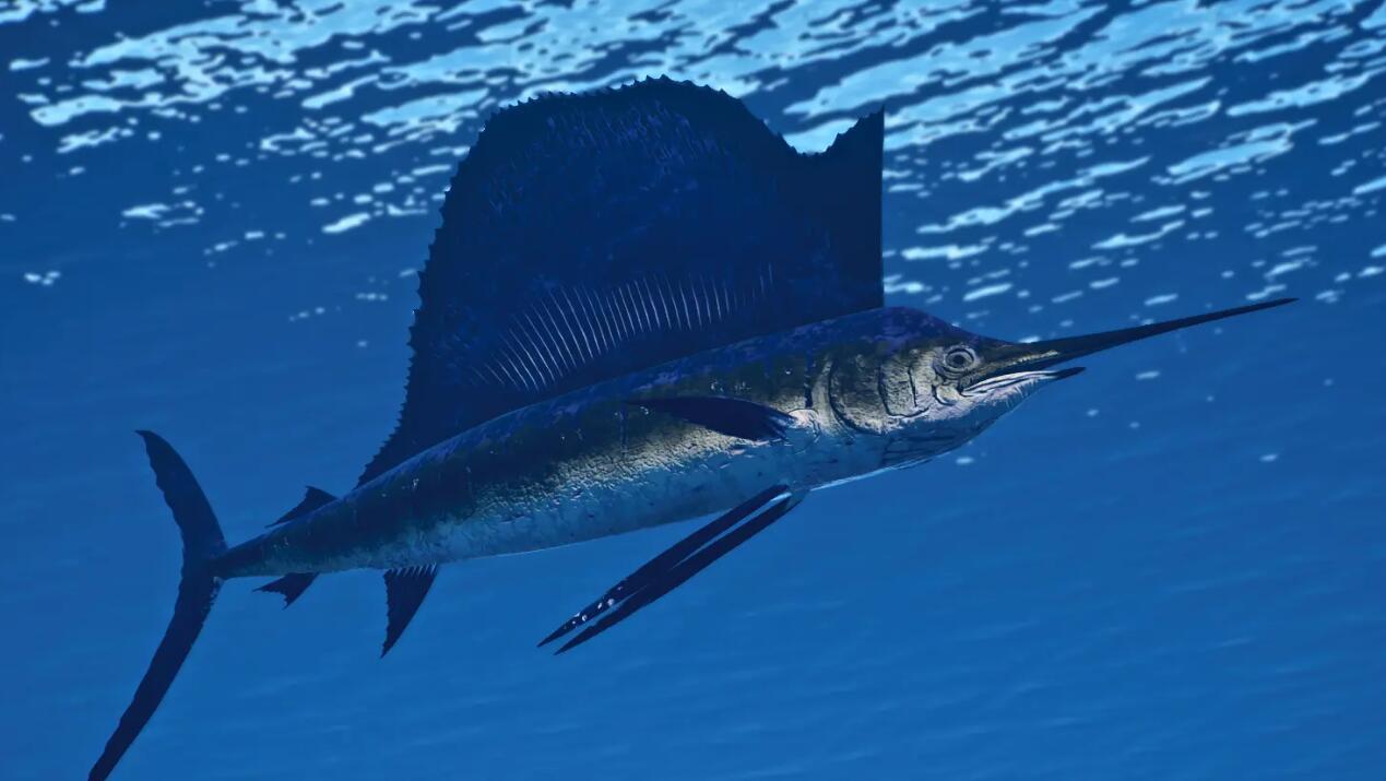 《動物園之星》新增物種平鰭旗魚MOD