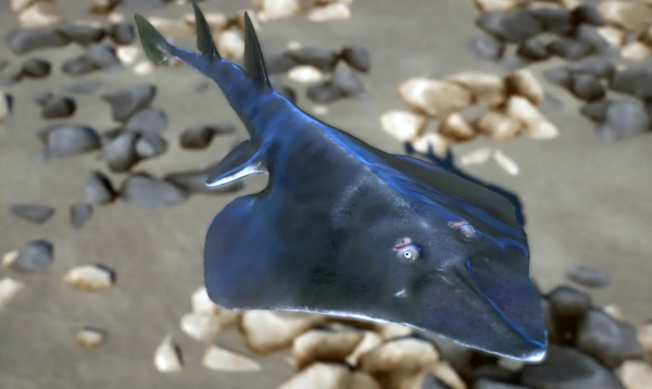 《動物園之星》新增物種光背犁頭鰩MOD