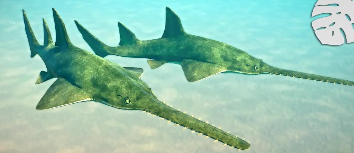 《動物園之星》新增物種綠鋸鰩MOD