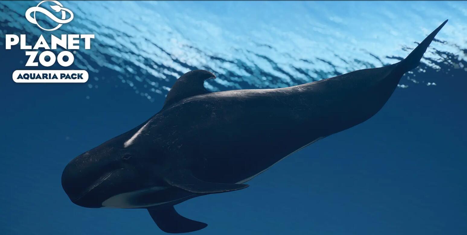 《動(dòng)物園之星》新增物種短肢領(lǐng)航鯨MOD