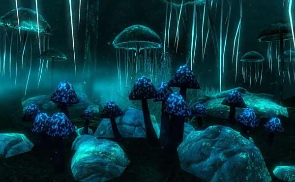 《上古卷軸5:天際重制版》完成煉金術和烹飪大修漢化版MOD