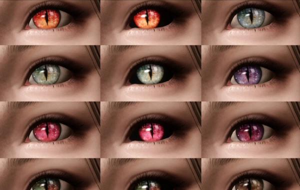 《上古卷軸5:天際重制版》野性之眼v1.2MOD