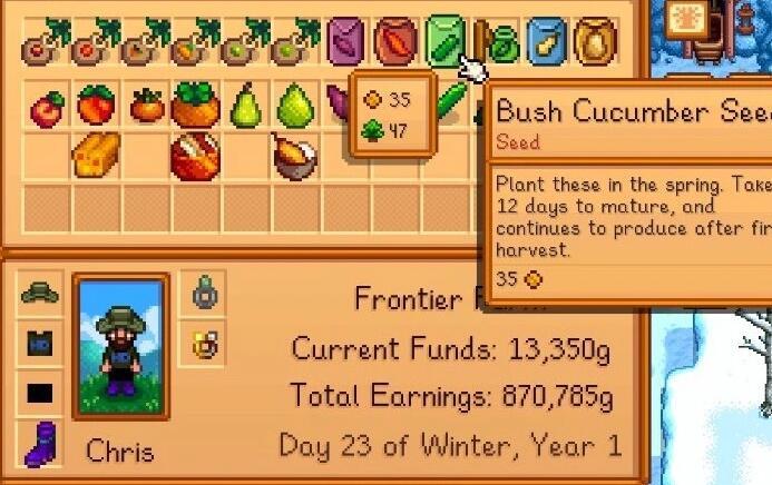 《星露谷物語》物品兼容性補丁MOD