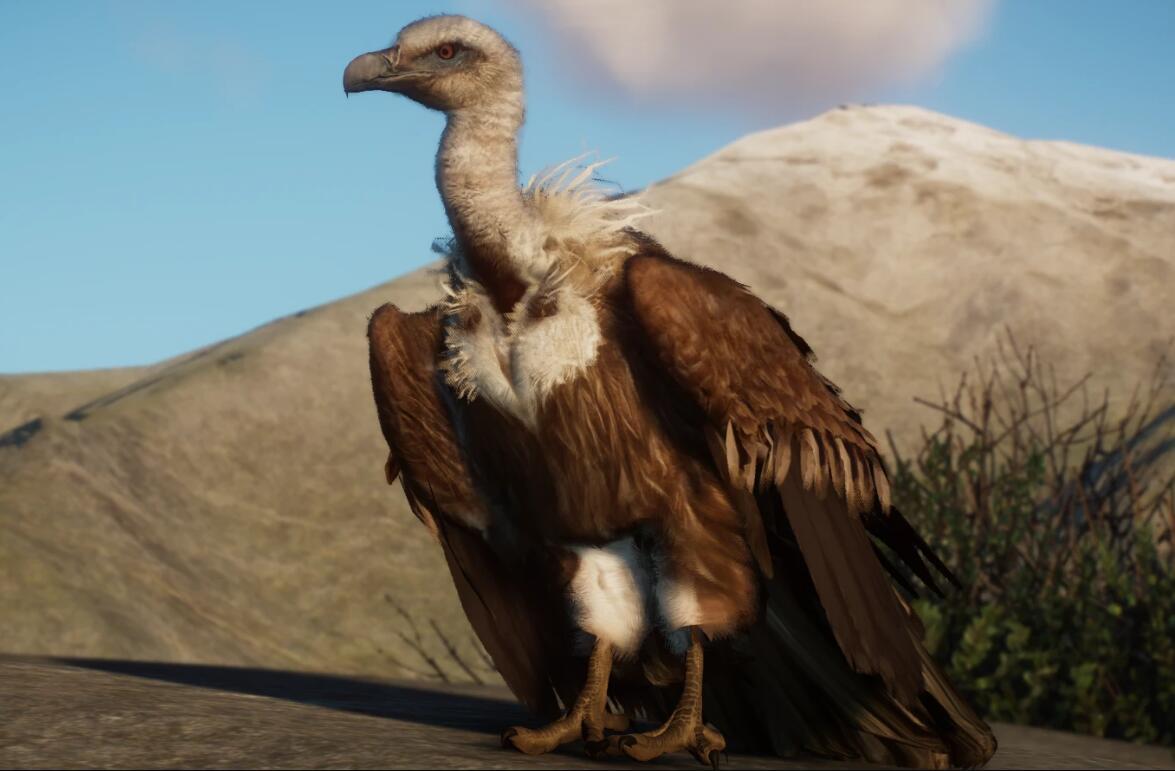 《動(dòng)物園之星》新增物種兀鷲MOD