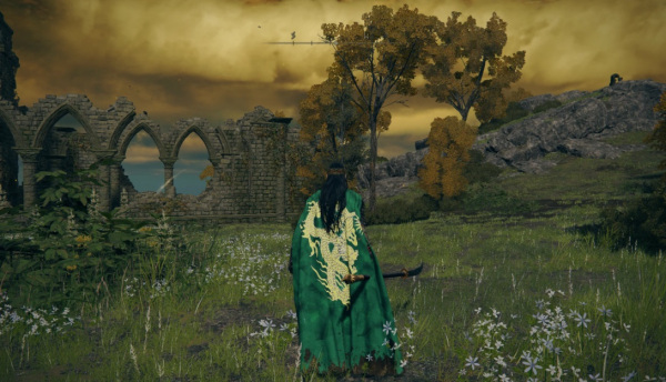 《艾爾登法環》真三國無雙關羽服裝MOD