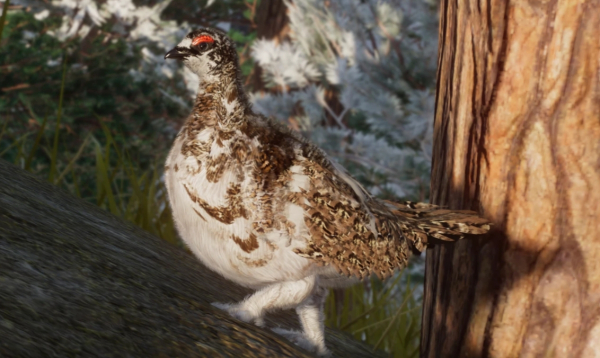 《動物園之星》新增物種巖雷鳥MOD