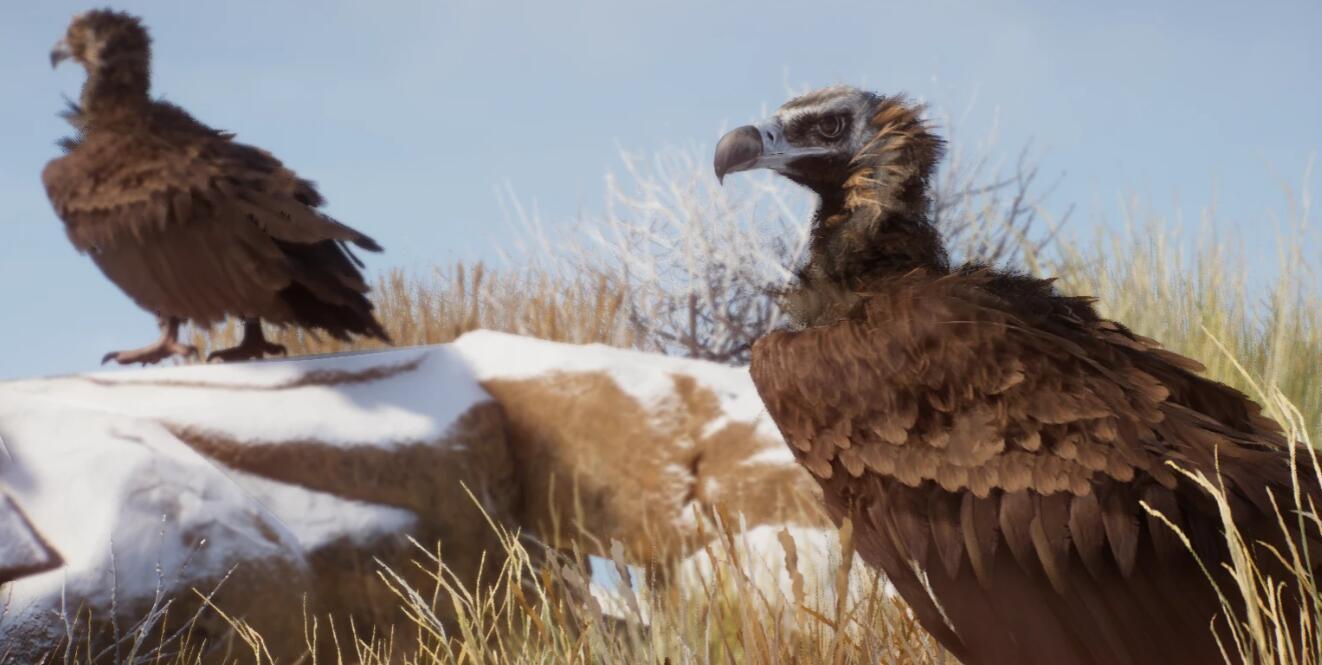 《動物園之星》新增物種禿鷲MOD