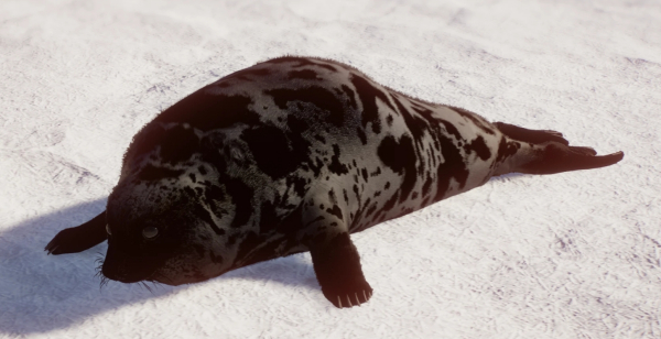 《動物園之星》新增物種冠海豹MOD