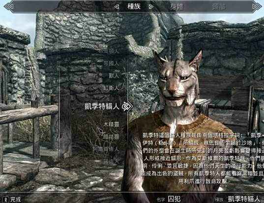 《上古卷軸5：天際重制版》漢化補(bǔ)丁整合包