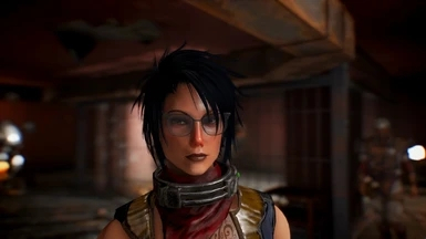 《輻射4》角色外觀mod整合包