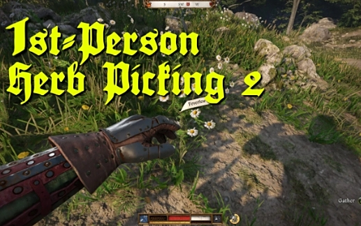 《天國:拯救2》采集優化mod整合包