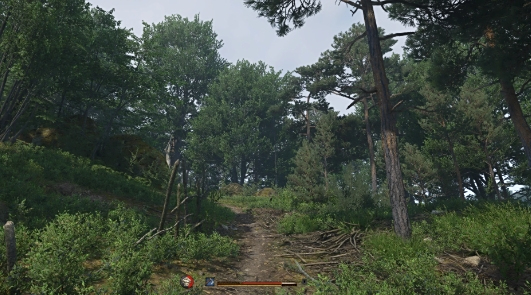 《天國:拯救2》hud界面優化mod整合包