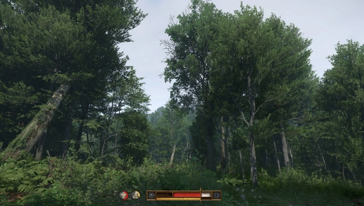 《天國(guó)：拯救2》地圖探索優(yōu)化mod整合包