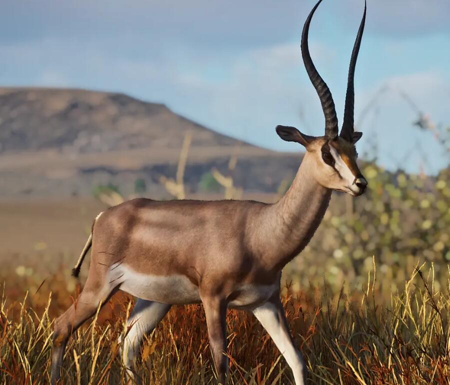 《動物園之星》新增物種葛氏瞪羚MOD