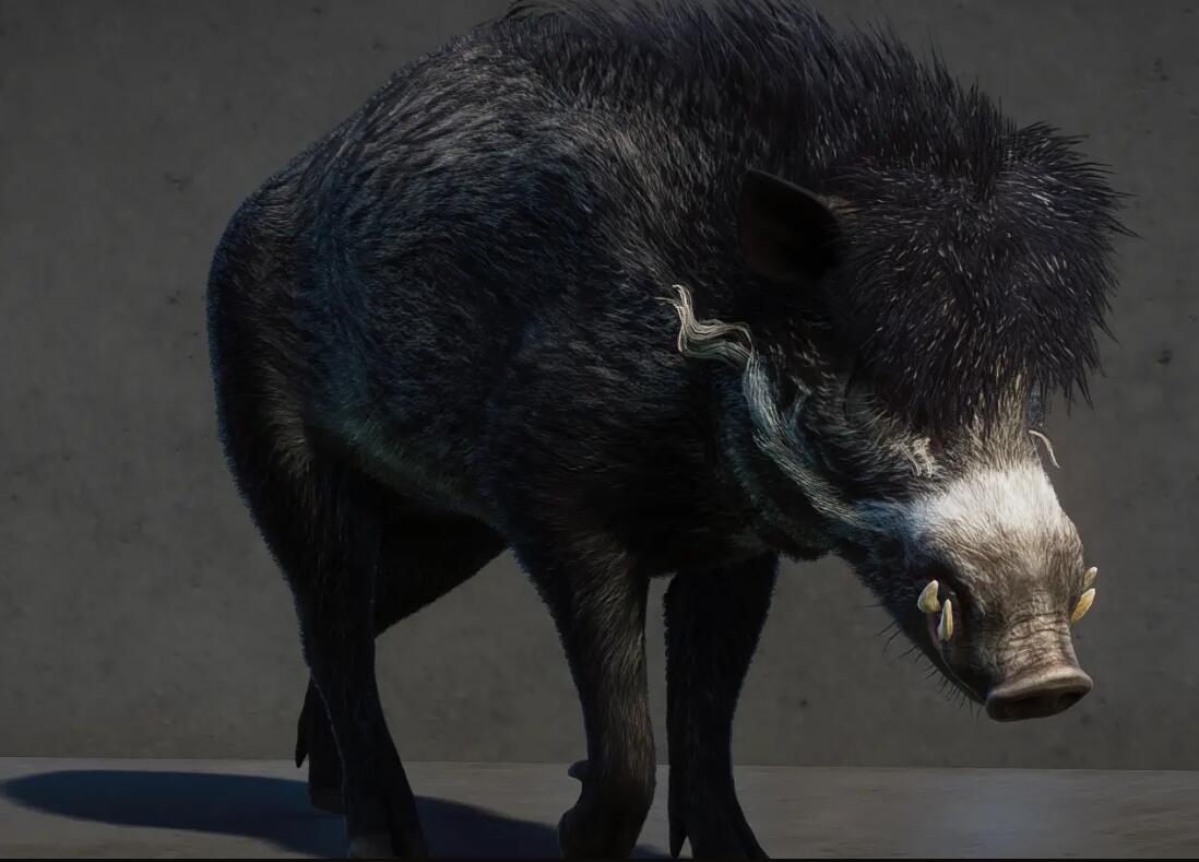 《動物園之星》新增物種米沙鄢野豬MOD