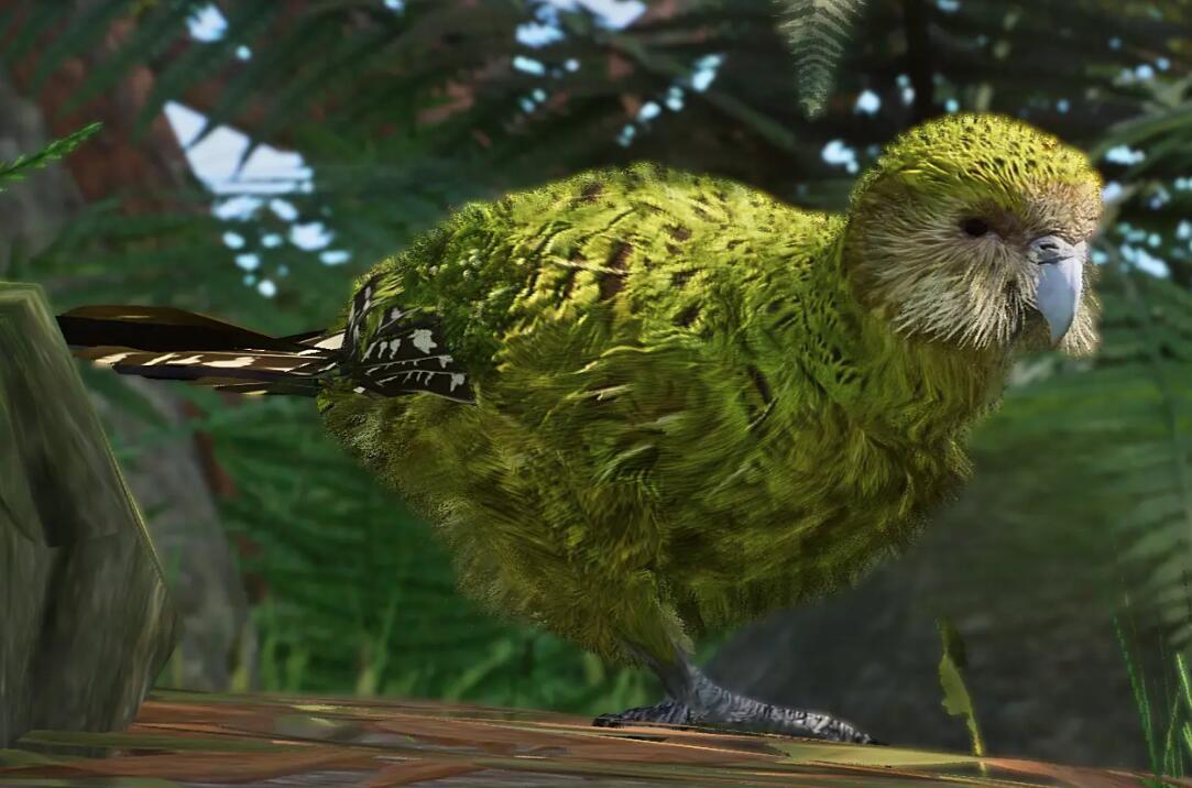 《動物園之星》新增物種鸮鸚鵡MOD