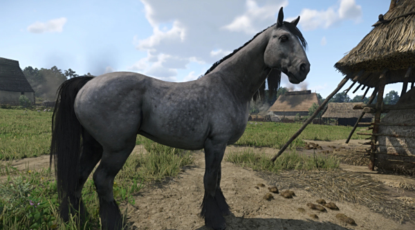 《天國:拯救2》強壯的小灰MOD