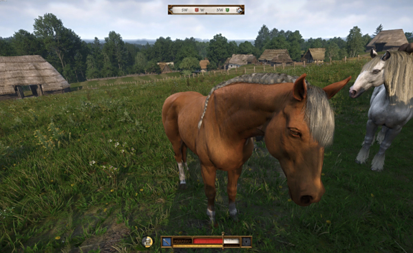 《天國:拯救2》重新設計小灰MOD