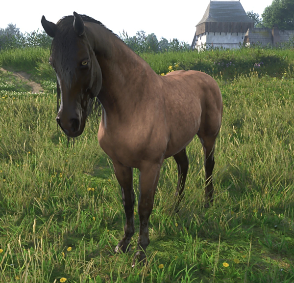 《天國:拯救2》重新設計小灰MOD