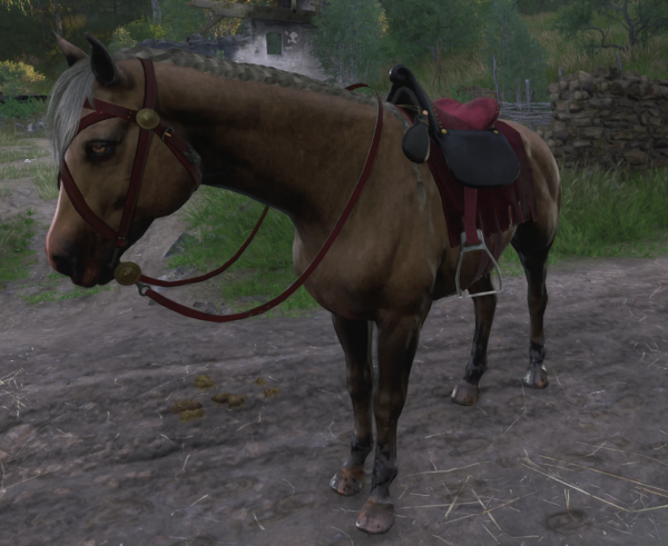 《天國:拯救2》重新設計小灰MOD