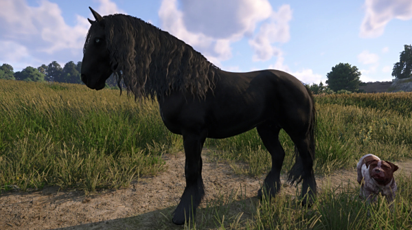 《天國:拯救2》強壯的小灰MOD