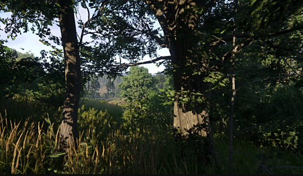 《天國:拯救2》更暗的陰影MOD