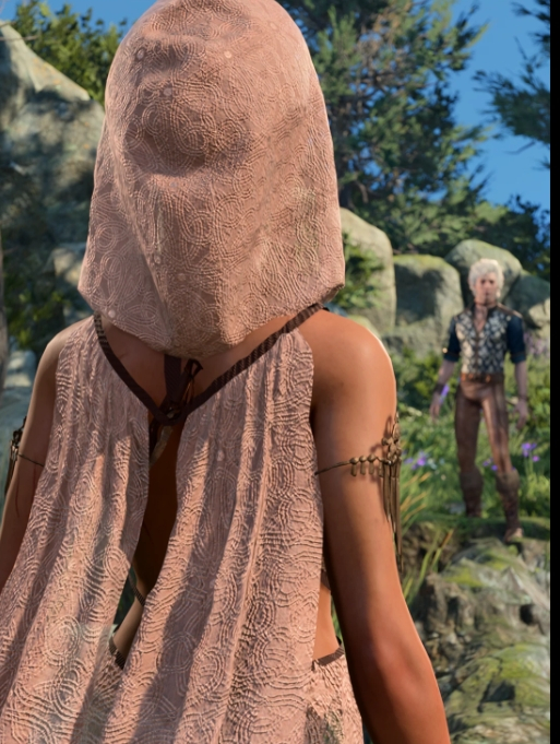 《博德之門3》希瓦爾·阿爾圖拉布外觀MOD