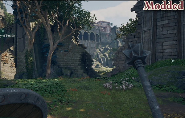 《宣誓》刪除游戲中的暈影效果MOD