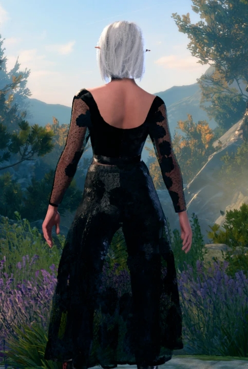 《博德之門3》西爾菲娜的營地服裝外觀MOD