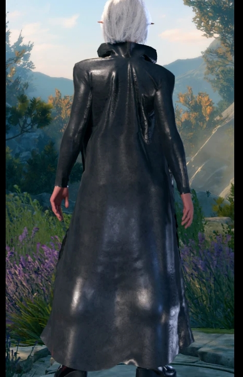 《博德之門3》希西爾菲娜的連體緊身衣套裝外觀MOD