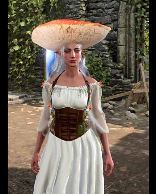 《博德之門3》孢子女士連衣裙外觀MOD