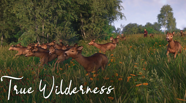 《天國：拯救2》更多野生動物MOD