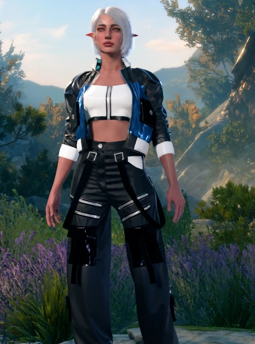 《博德之門3》布魯姆核心套裝MOD