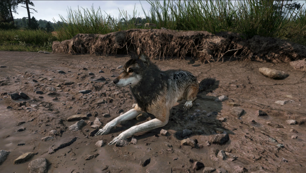 《天國:拯救2》呆呆外觀替換為狼MOD