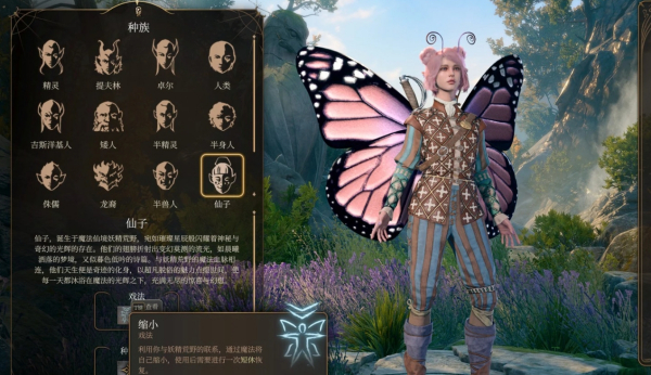 《博德之門3》仙子種族漢化MOD