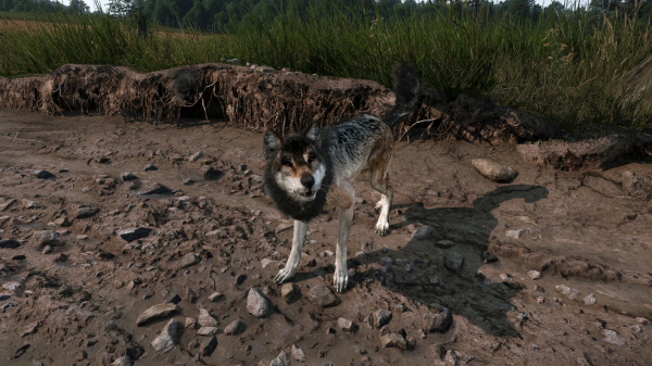 《天國:拯救2》呆呆外觀替換為狼MOD