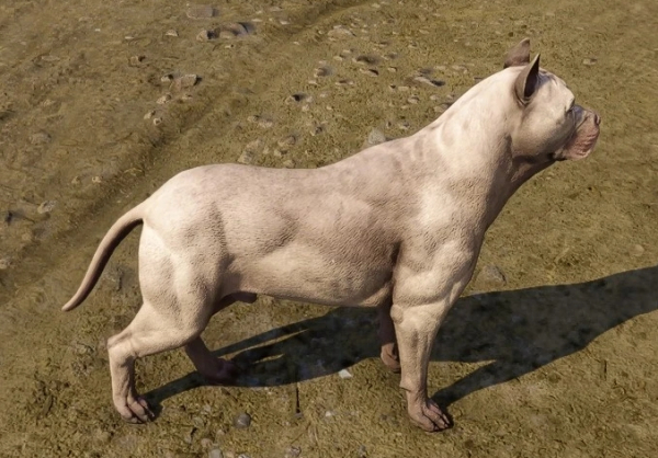 《天國：拯救2》更多犬類伙伴MOD