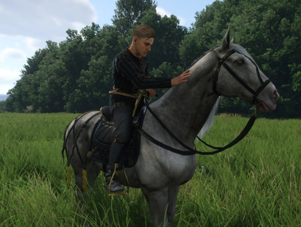 《天國:拯救2》獨特馬匹MOD