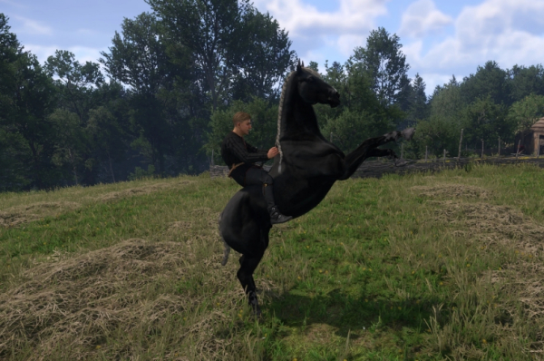 《天國:拯救2》獨特馬匹MOD