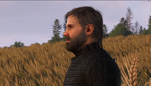 《天國:拯救2》亨利的面部修復(fù)MOD