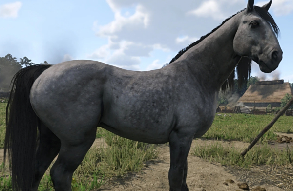 《天國：拯救2》強大馬匹MOD