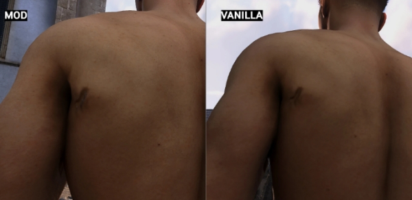 《天國:拯救2》自然面部頭發和身體MOD