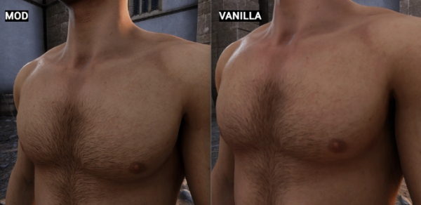 《天國:拯救2》自然面部頭發和身體MOD