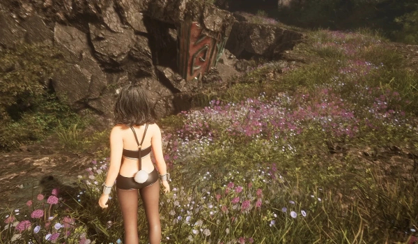 《光與影：33號遠征隊》兔女郎換掉默認衣服MOD