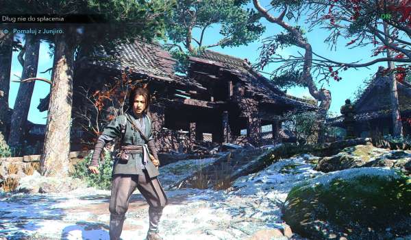 《刺客信條：影》大和島津Reshade