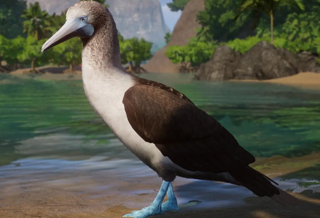 《動物園之星》新增物種藍腳鰹鳥MOD