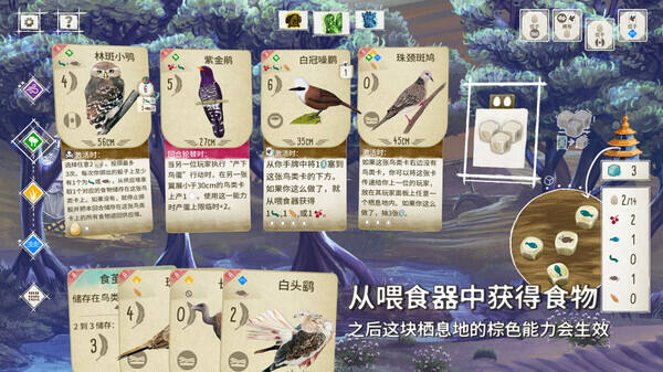 展翅翱翔：亞洲篇